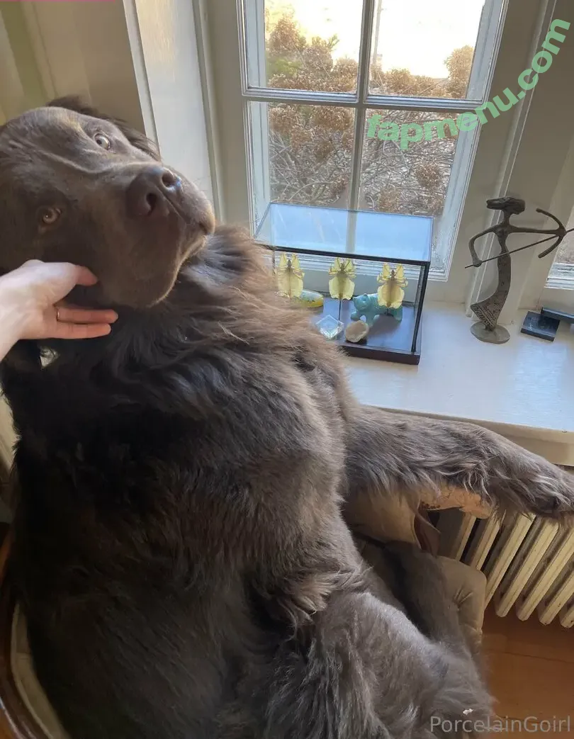 porcelaingoirl nude photo #0282 (porcelaingoirl)