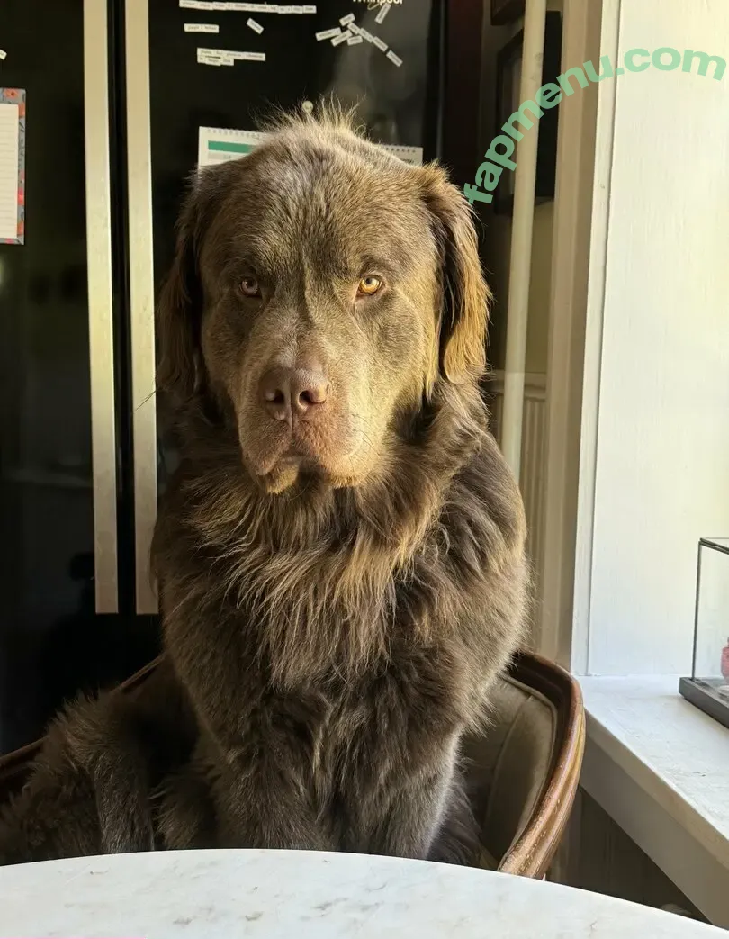 porcelaingoirl nude photo #0284 (porcelaingoirl)