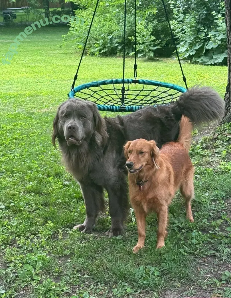 porcelaingoirl nude photo #0381 (porcelaingoirl)