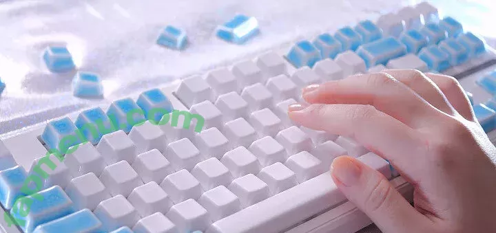 Ppomo nude photo #0111 (PPOMODOLI / ppomo.asmr)