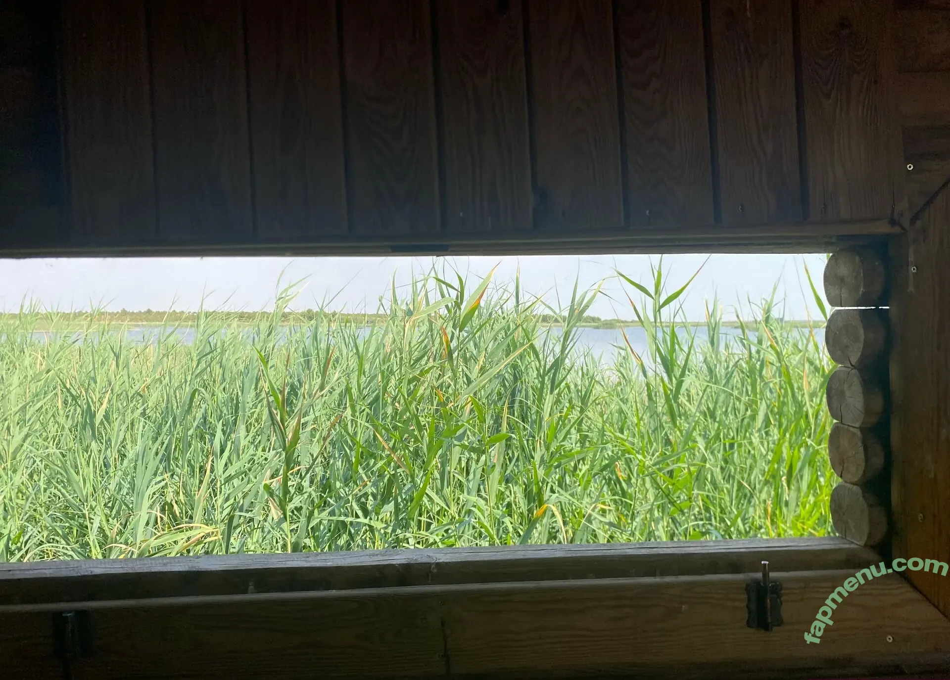 prettyprincess220 nude photo #0010 (prett_yprincess220)