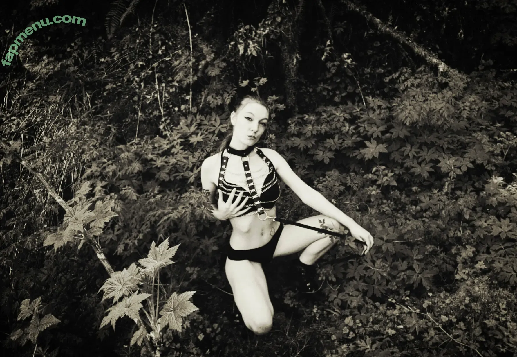 pricealicefree nude photo #0031 (pricealicefree)