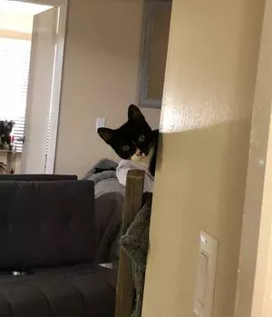 Princess Mary / maryyberrymentoss / princesslilmary nude photo #0005