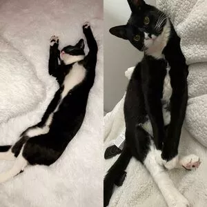 Princess Mary / maryyberrymentoss / princesslilmary nude photo #0010