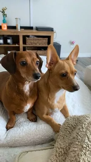 Princess Mary / maryyberrymentoss / princesslilmary nude photo #0012