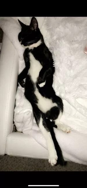 Princess Mary / maryyberrymentoss / princesslilmary nude photo #0033