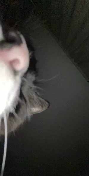 Princess Mary / maryyberrymentoss / princesslilmary nude photo #0142