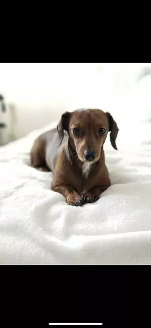 Princess Mary / maryyberrymentoss / princesslilmary nude photo #0148