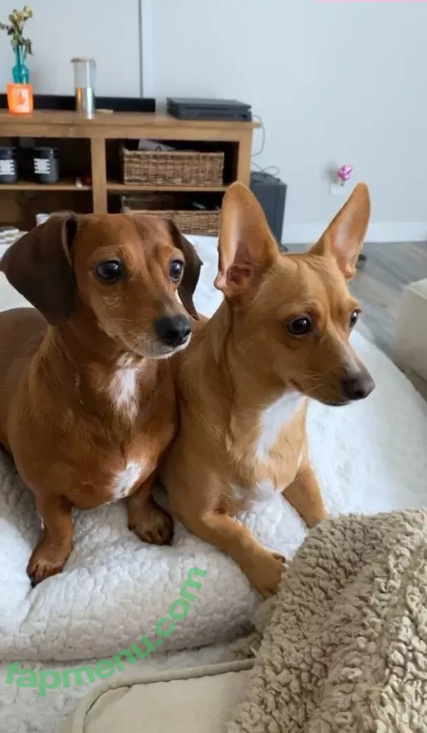 Princess Mary nude photo #0012 (maryyberrymentoss / princesslilmary)