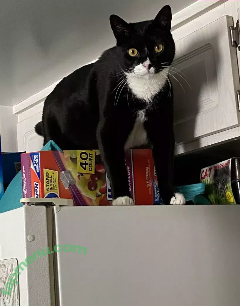 Princess Mary nude photo #0014 (maryyberrymentoss / princesslilmary)