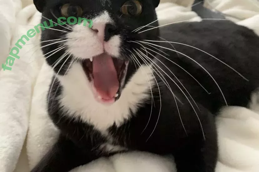 Princess Mary nude photo #0128 (maryyberrymentoss / princesslilmary)