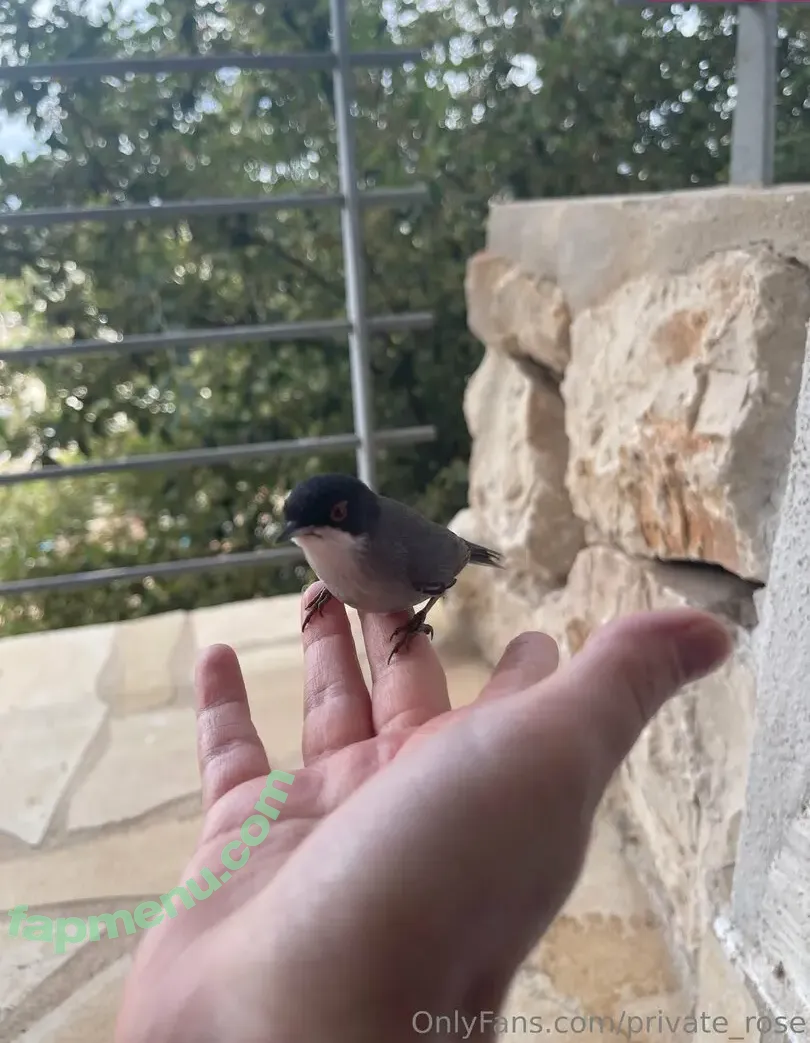 private_rose nude photo #0020 (private_rose.g)