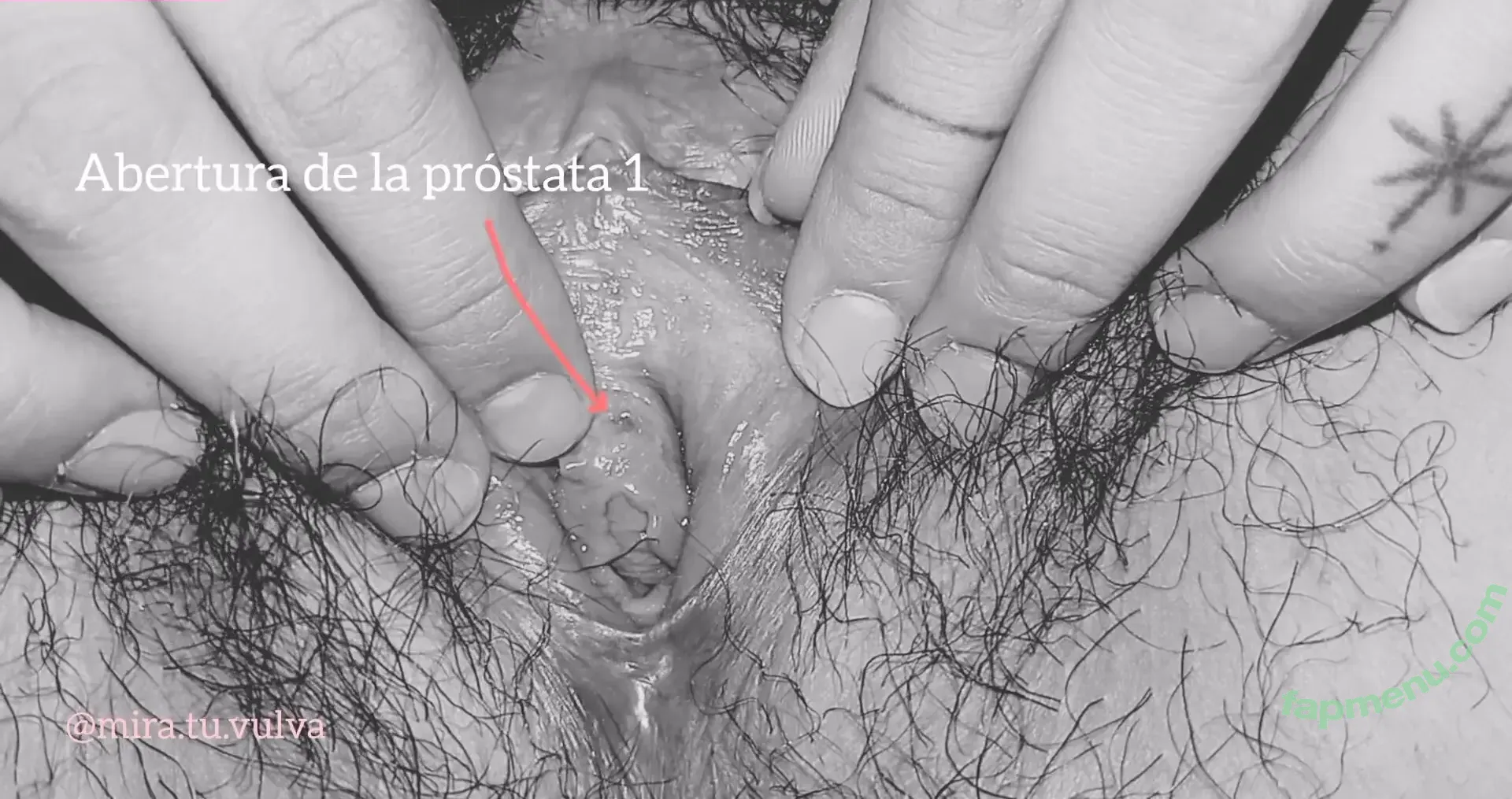 Professionals nude photo #0154 (Educational Exhibitionism / Tutorials / theprofessionalsband)