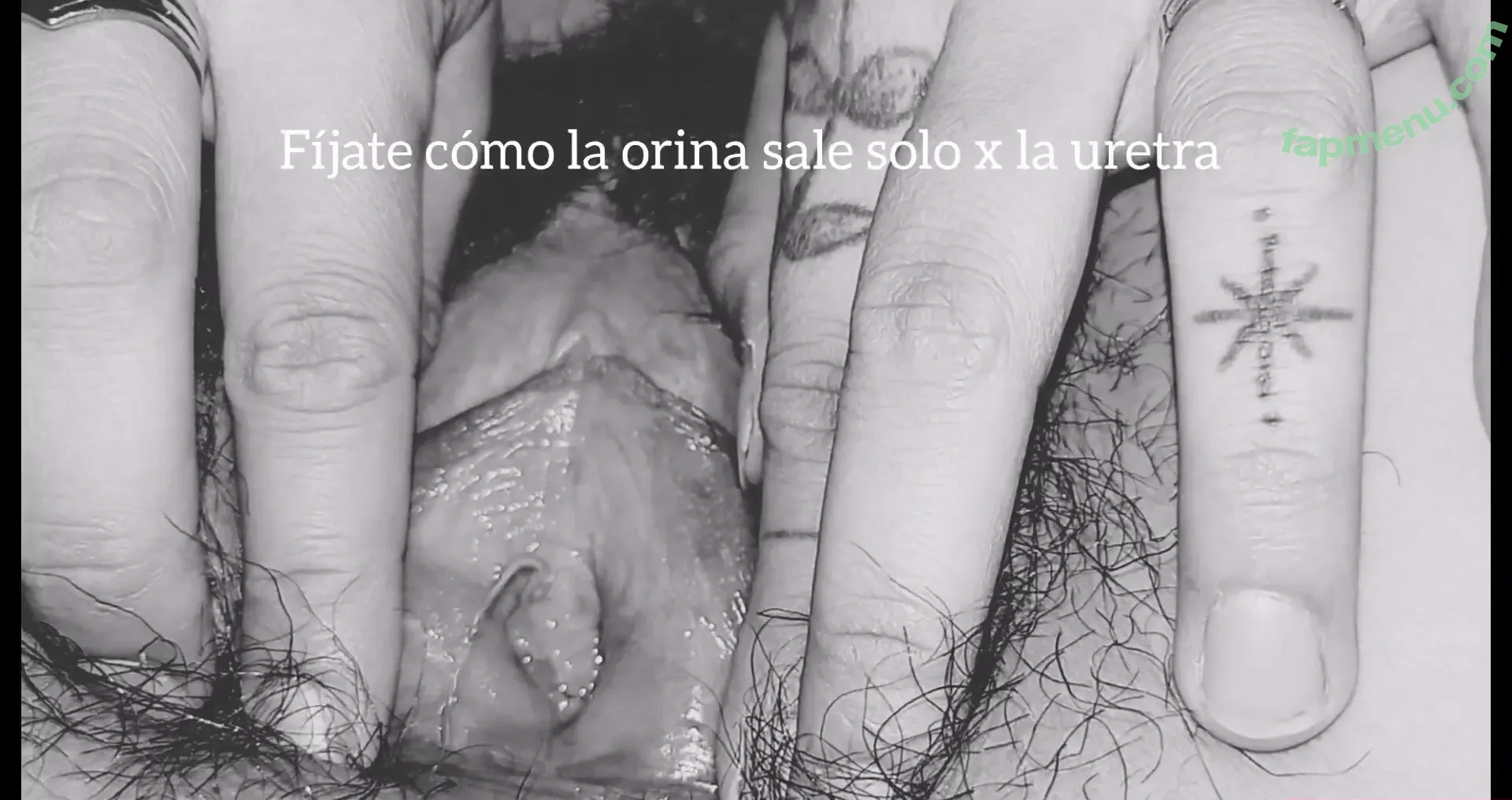 Professionals nude photo #0156 (Educational Exhibitionism / Tutorials / theprofessionalsband)