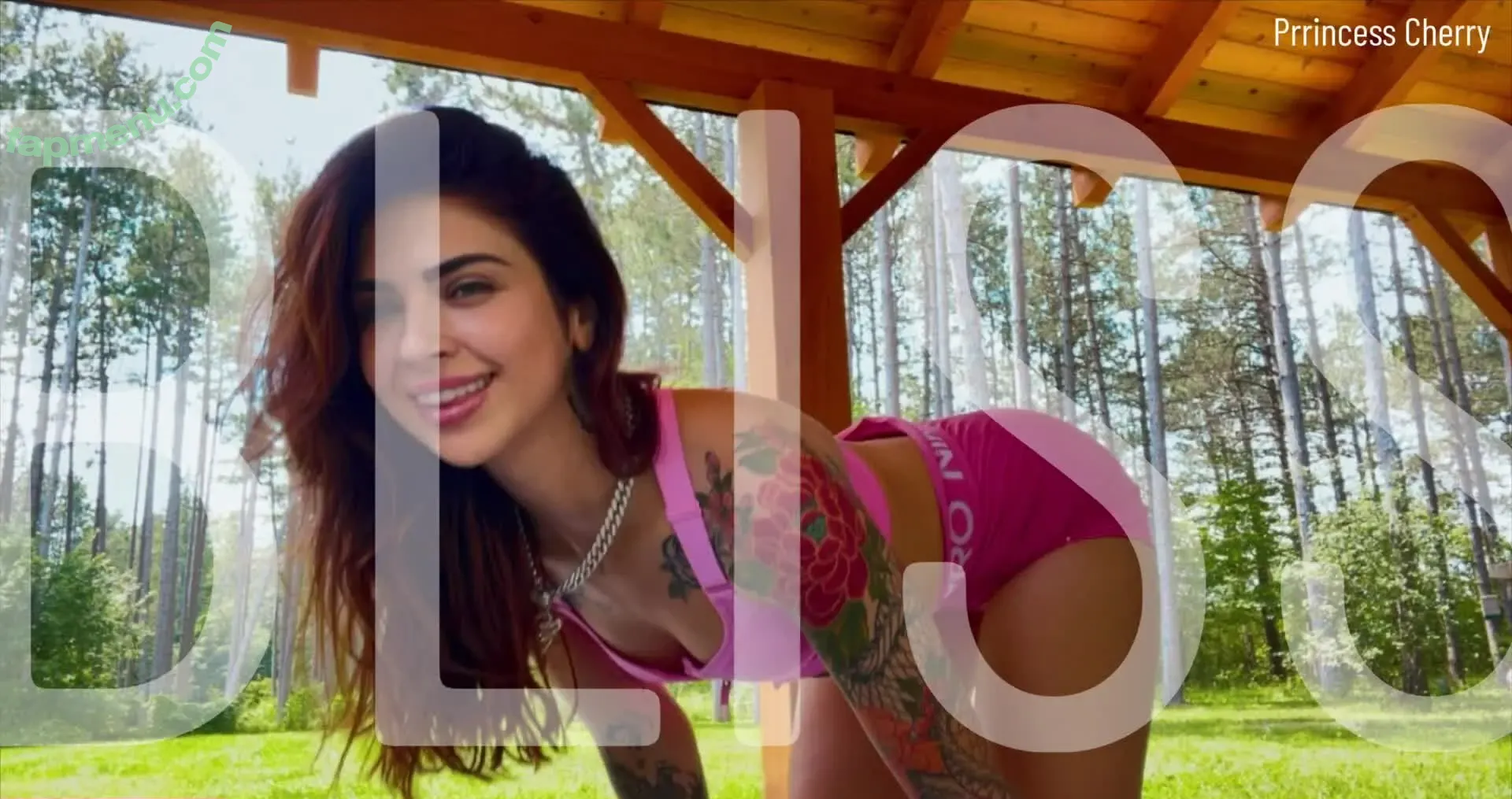 prrincess-cherry nude photo #0226 (cherrychy_ / prrincesscherry)