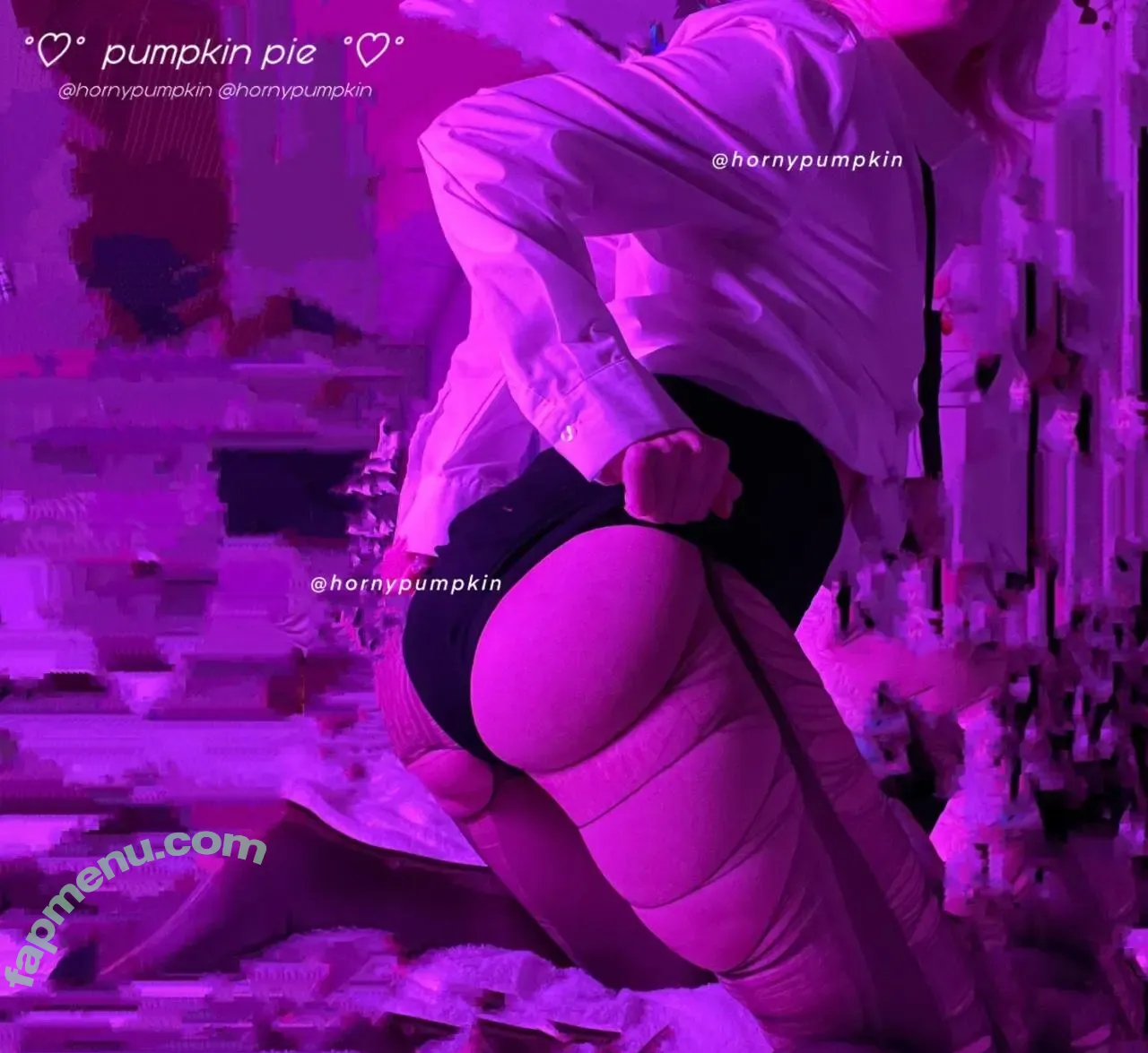 Pumpkin Pie nude photo #0345 (fairypie / ollwen / pumpkinpiepitbull)