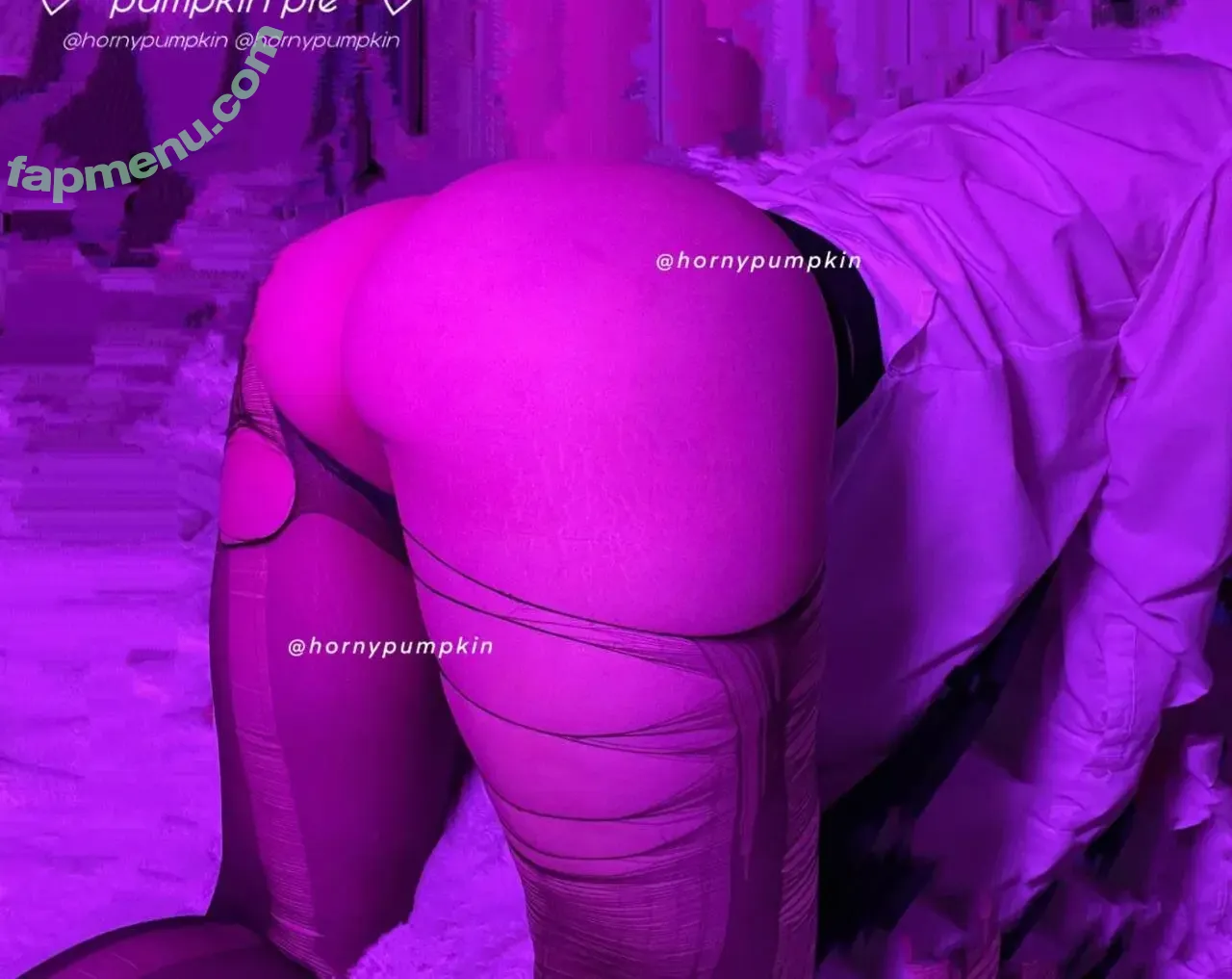 Pumpkin Pie nude photo #0356 (fairypie / ollwen / pumpkinpiepitbull)