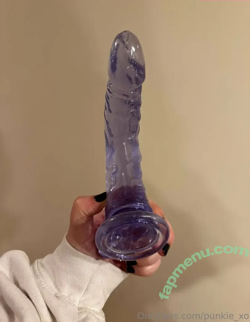 punkie_xo nude photo #0045 (punkie_xo)