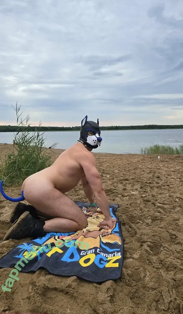 pupbuday nude photo #0113 (pup_buday)