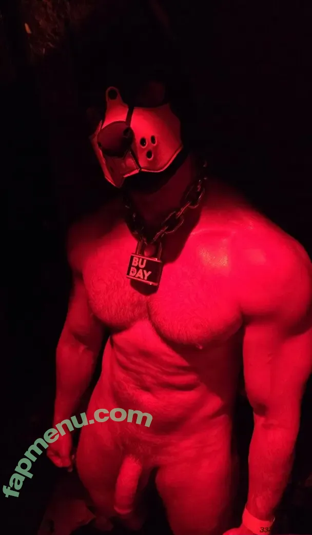 pupbuday nude photo #0118 (pup_buday)