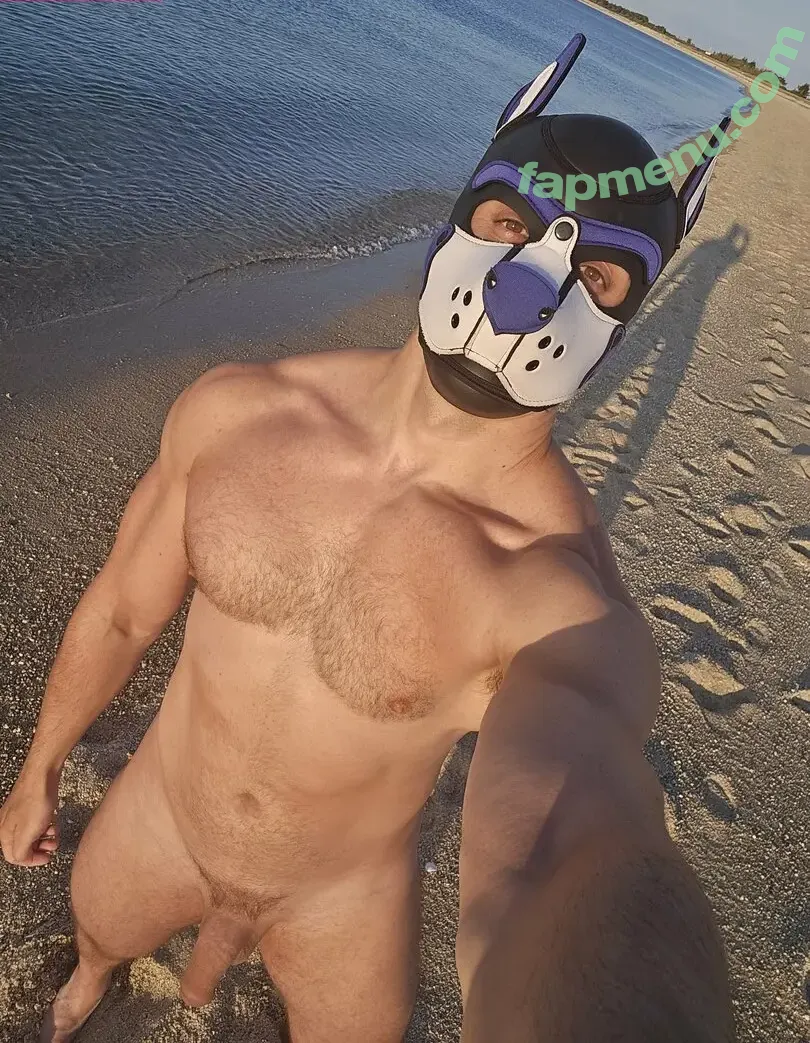 pupbuday nude photo #0122 (pup_buday)