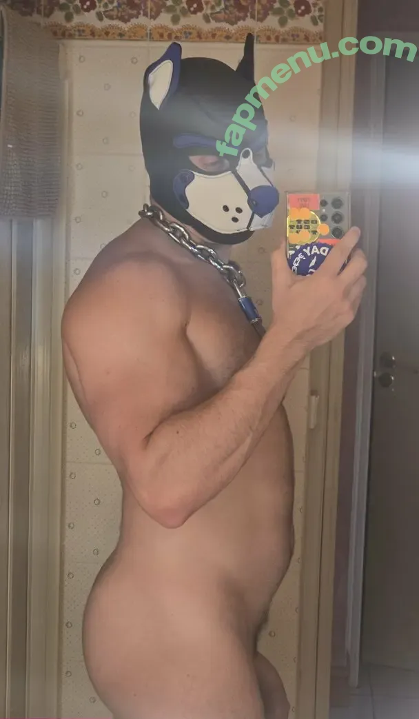 pupbuday nude photo #0123 (pup_buday)