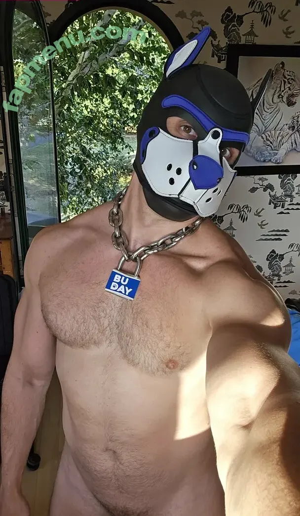 pupbuday nude photo #0129 (pup_buday)