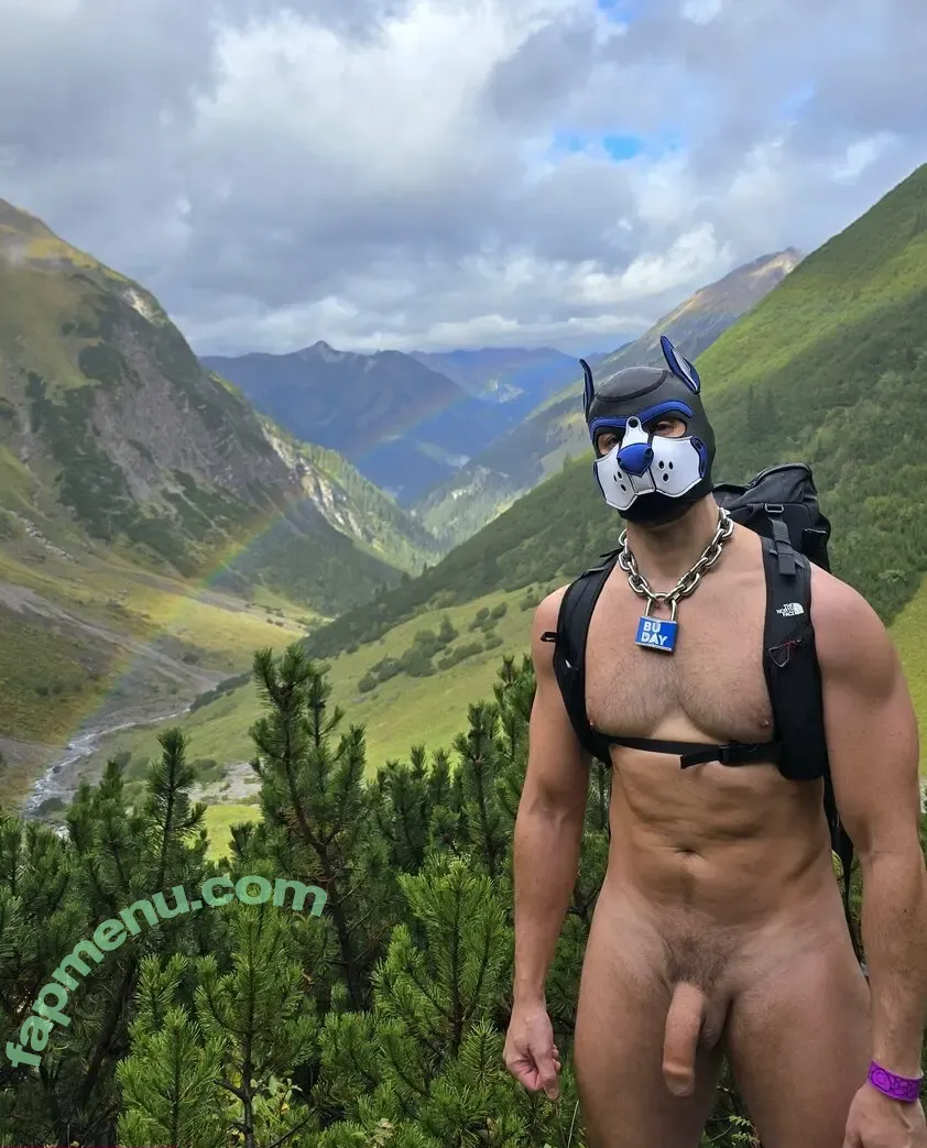 pupbuday nude photo #0148 (pup_buday)