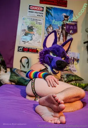 purplehuskymurr / purplehusky nude photo #0032