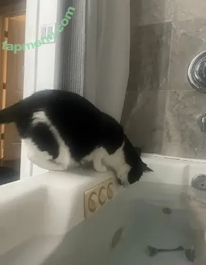 PushingUpRoses / roseanders nude photo #0726