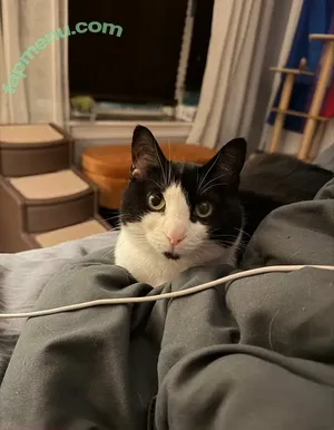 PushingUpRoses / roseanders nude photo #0735