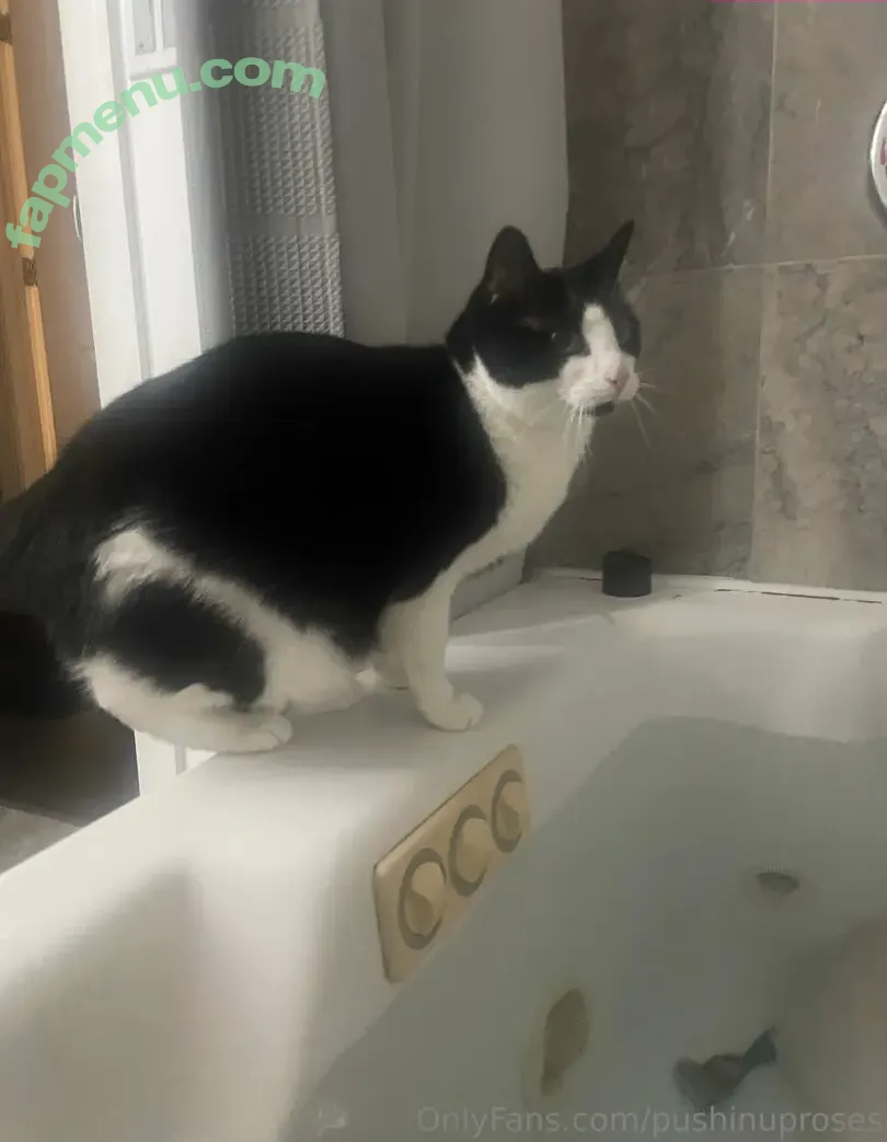 PushingUpRoses nude photo #0725 (roseanders)