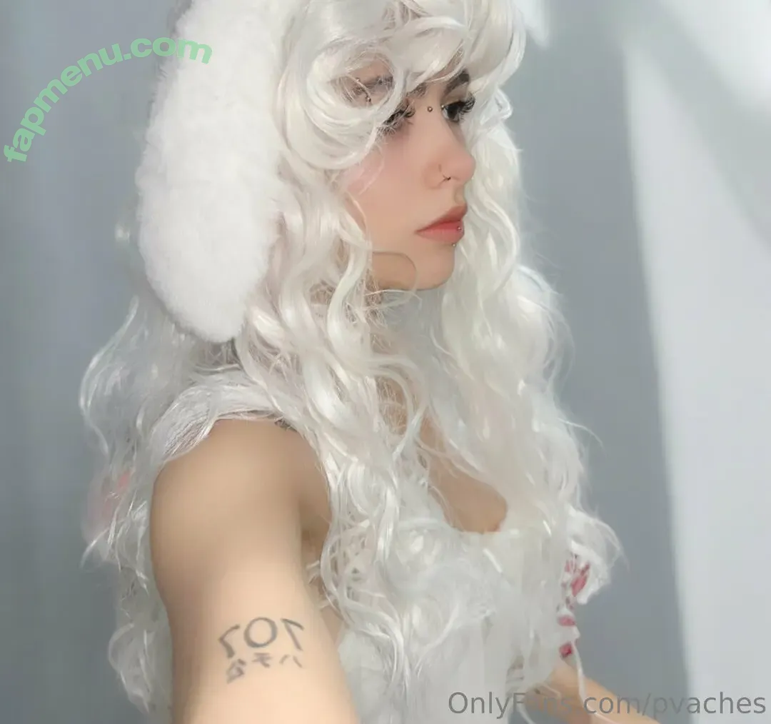 pvaches nude photo #0069 (pvaaches)