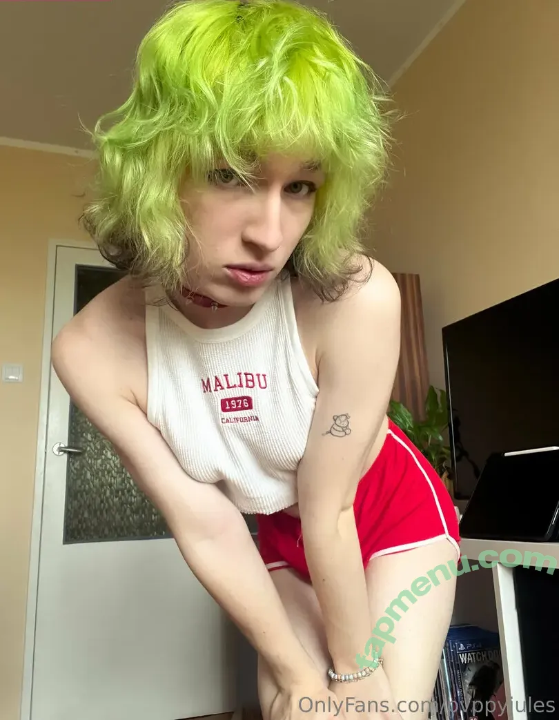 pvppyjules nude photo #0149 (pvppyjules)