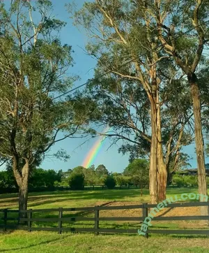 rachyxrose / iamrachelweaver nude photo #0082