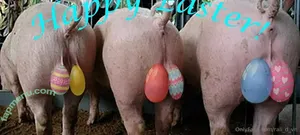  nude photo #0009