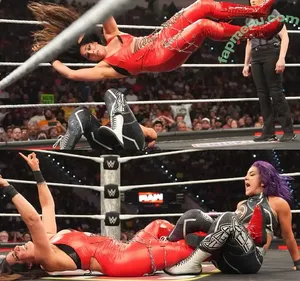Raquel Rodriguez / WWE / drkheartless_error / raquelwwe nude photo #0449