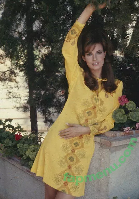 Raquel Welch nude photo #0075 (therealraquelwelch)