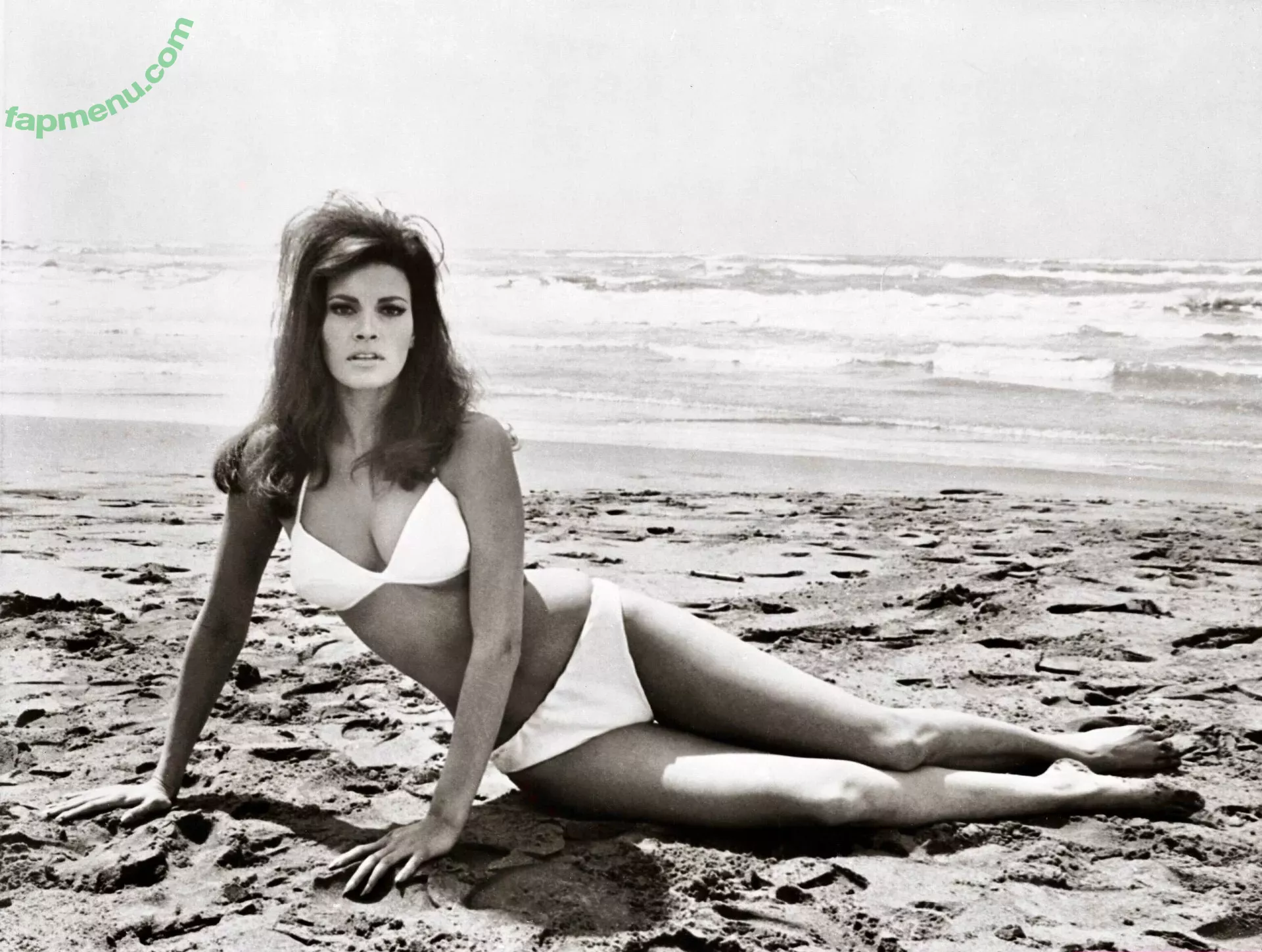 Raquel Welch nude photo #0095 (therealraquelwelch)