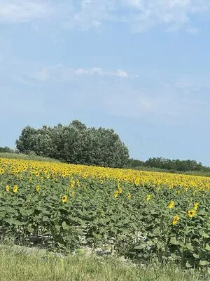 real_tiffany / real_tiffanytatum nude photo #0022