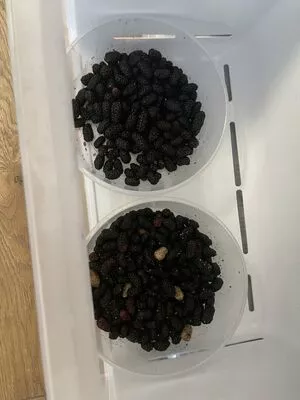 real_tiffany / real_tiffanytatum nude photo #0026