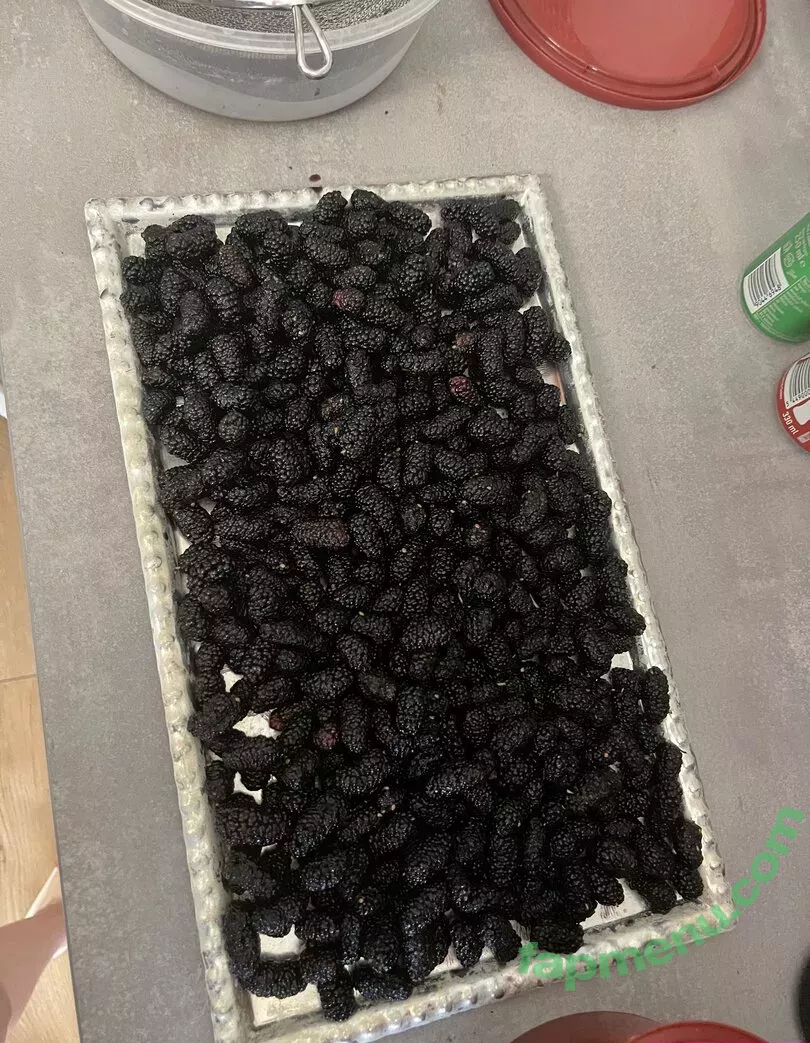 real_tiffany nude photo #0025 (real_tiffanytatum)