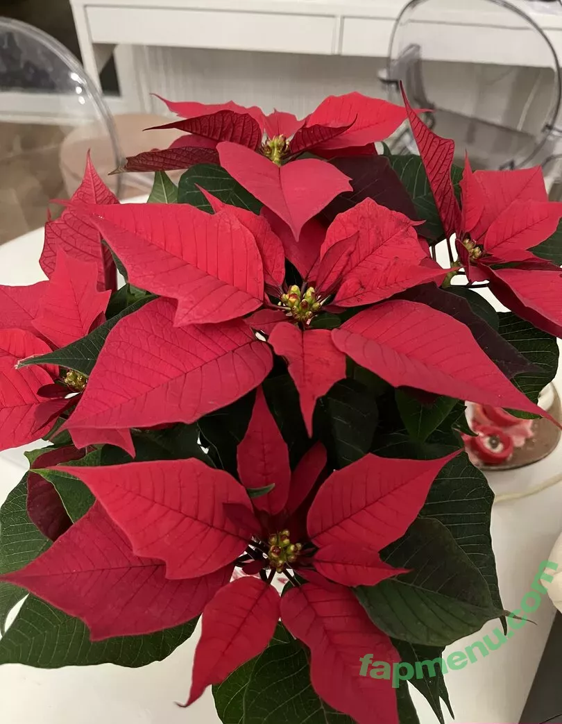 real_tiffany nude photo #0106 (real_tiffanytatum)