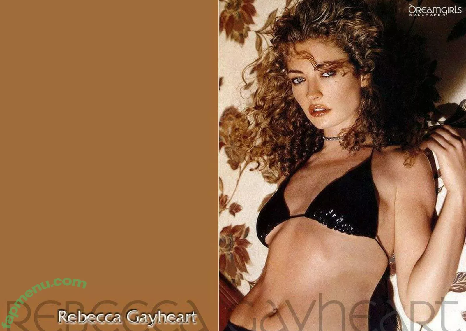 Rebecca Gayheart nude photo #0025 (rebeccagayheartdane)