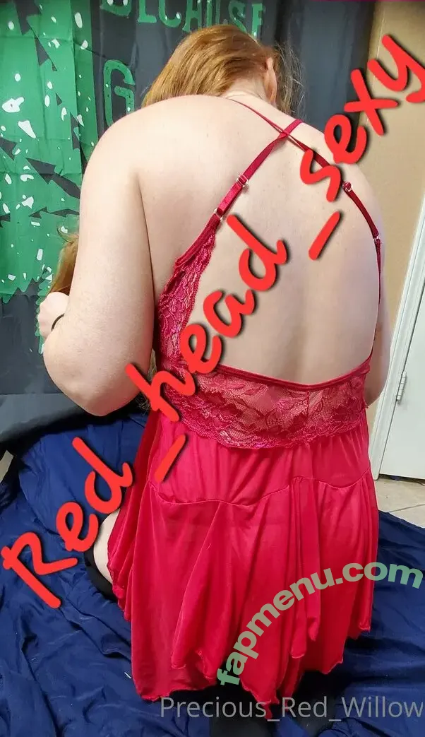 redheadbeauty2222 nude photo #0004 (redheadbeauty2222)