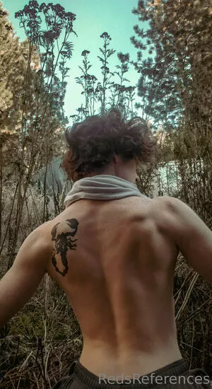 redsreferences / reddoodles2 / reddoodlesart nude photo #0004