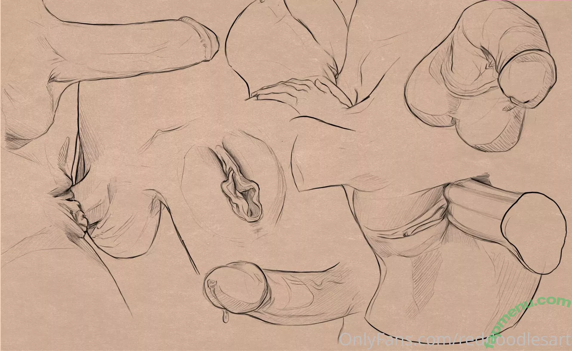 redsreferences nude photo #0055 (reddoodles2 / reddoodlesart)