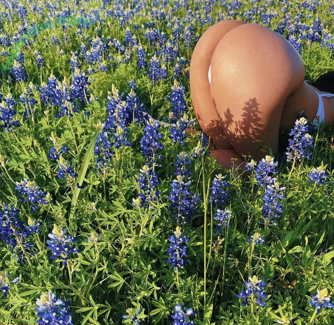 Regina_Unite nude photo #0033 (unite_regina)