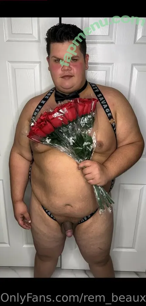 rem_beaux nude photo #0022 (rem_beaux)