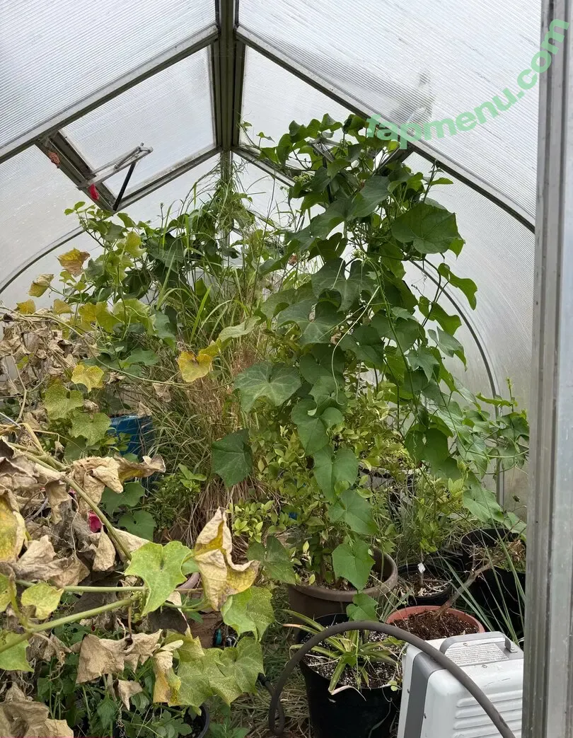 reneealeja nude photo #0001 (reneealeja)